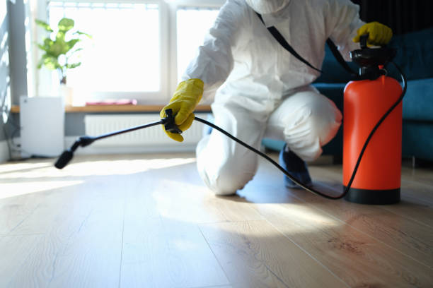 Reliable Sewage Cleanup contractor in Audubon, NJ by Trauma Clean Pros